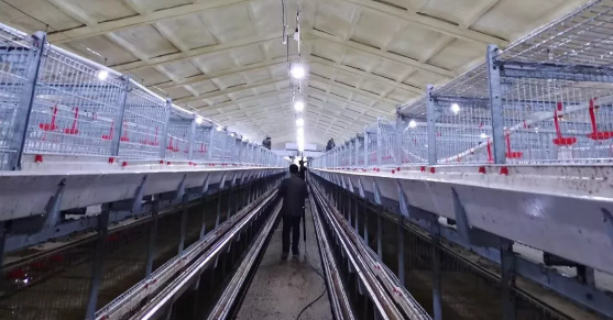 養(yǎng)鴨場老板：熱泵供暖溫度高，費用比燒煤還??！